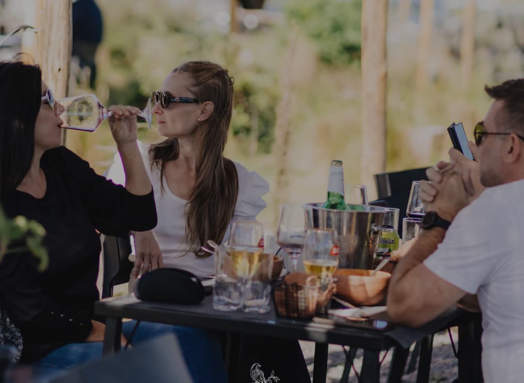 Amigos brindando con vino en una mesa al aire libre